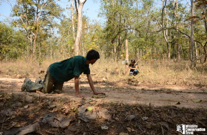 Camera Trap - Means of Counting progress - WCT