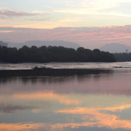 World Wetlands Day - Thane Creek - WCT