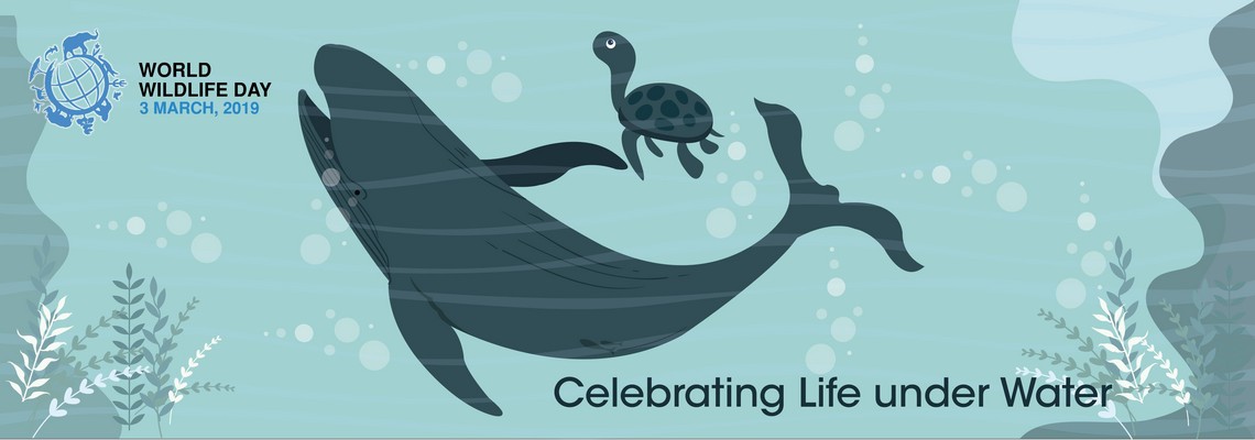 World Wildlife Day 2019 – Life below water - WCT