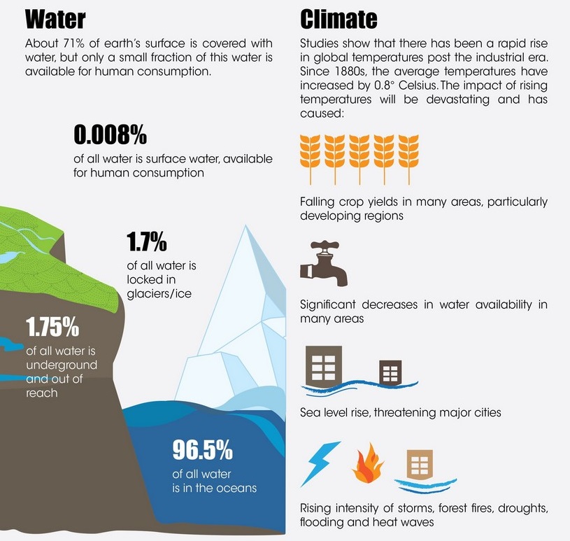 Conservation strategy - WCT