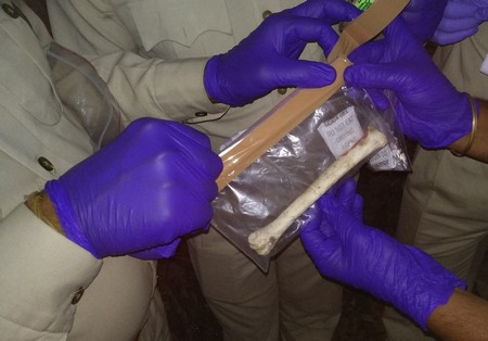 Forensics in Wildlife Crime Investigation - WCT