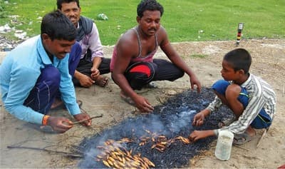 Villagers roast the day’s catch for their evening meal