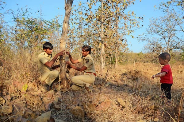 Forest guards, husband-wife duo, Sunita More and Dnyaneshwar Shinde work in the Dhargad range of the Melghat Tiger Reserve