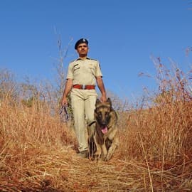 Aatif Husain is part of a mobile squad that works to detect poachers and wildlife contraband. Here, he is seen with Jayni, his trained German Shepherd partner on the squad