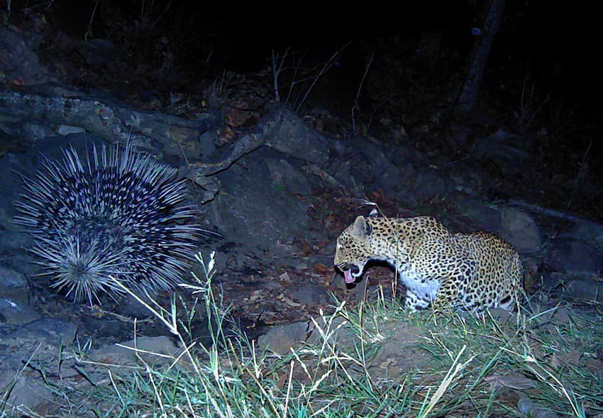 Wildlife Conservation Trust’s Camera Trapping Outside Protected Areas