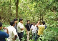 Forests are not only magnets to rainfall, they have a very high aesthetic value in our lives and we are hard-wired to enjoy them.