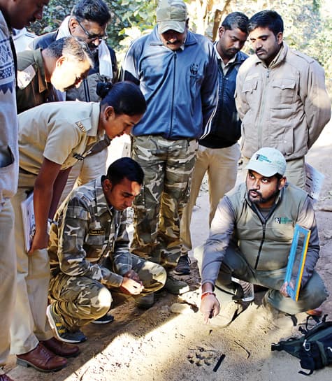 Tightening The Noose On Wildlife Crime - Sanjay Thakur from WCT’s WLET team demonstrates techniques for recording pugmarks during a field session on identifying tracks and signs of wild animals at the Pench Tiger Reserve, Maharashtra.