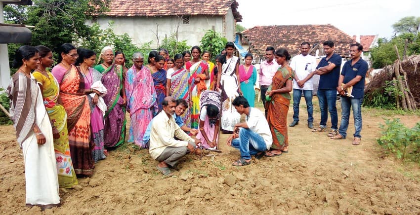 WCT partners with the Maharashtra Government, corporates and other NGOs on the Village Social Transformation Programme in the Chandrapur district.