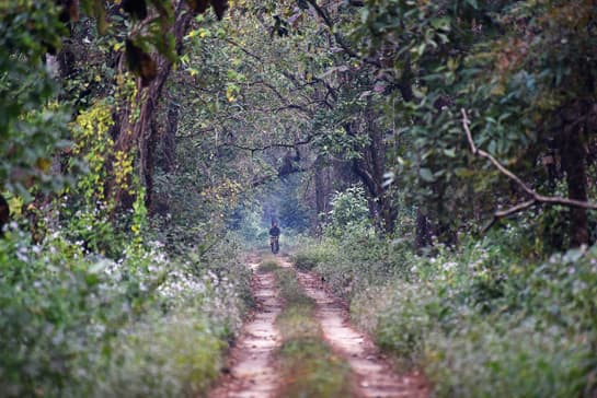 Dr. Chetan (Chet) Trivedy and Rizwan Mithawala write about the Wildlife Conservation Trust’s efforts to mitigate traumatic accidents and emergencies that frontline forest staff must contend with while defending our wilds.