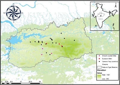 WCT study showing the presence of Eurasian otter (red dots) at higher elevations (above 550 m) and that of Smooth-coated otter (pink dots) at elevations below 500 m in Satpura Tiger Reserve, Madhya Pradesh.