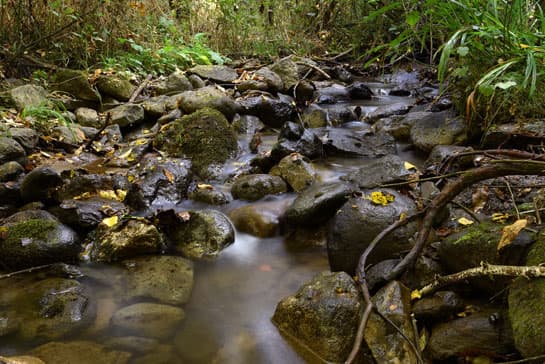 Dachigam National Park