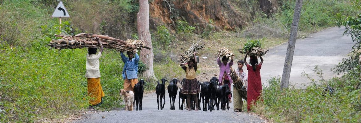 The Conservation Behaviour team undertakes psychosocial and socio-economic studies to understand social drivers and their interactions to build invaluable insights for introducing community interventions.