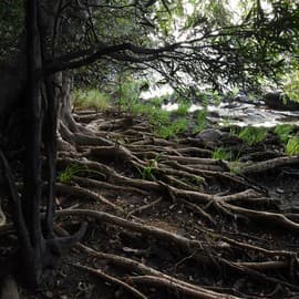 #WorldSoilDay2019 - From Under Our Feet