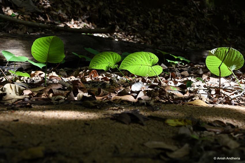 The impacts of soil erosion are near and far reaching in terms of geography and severity.