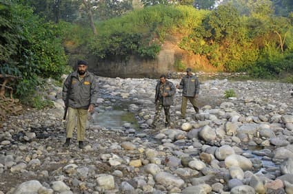 A Thousand Voices from the Field - Forest guards at work. This workforce toils endlessly around the clock, often poorly equipped, or trained and little appreciated, to keep our forests and wildlife safe.