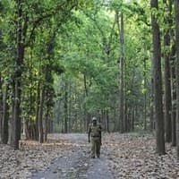 Forest guards toil endlessly around the clock, often poorly equipped, or trained and little appreciated, to keep our forests and wildlife safe. 