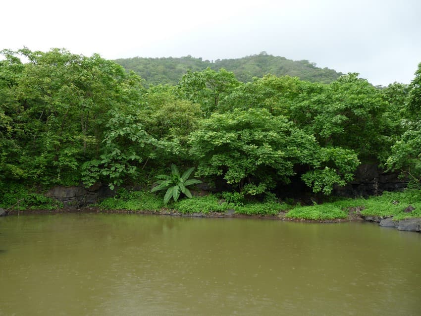 Value the Invaluable - SGNP provides several ecosystem services to Mumbai, the financial capital of the country, emphasizing that ecology is the bedrock of economy