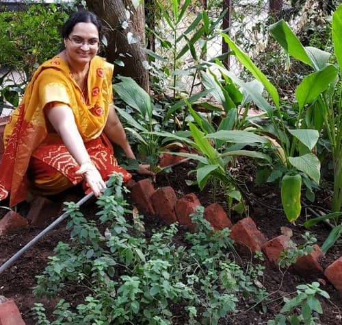 Pune-based botanist Poorva Joshi promotes medicinal-plant-based alternative livelihoods as a means to mitigate human-herbivore conflict.