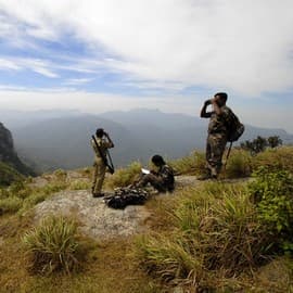 Protecting India’s Forests in the Time of COVID