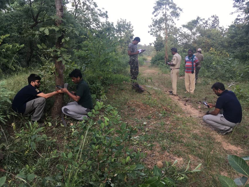 Field biologists install a GSM-enabled camera trap on a forest trail that leads to a village.