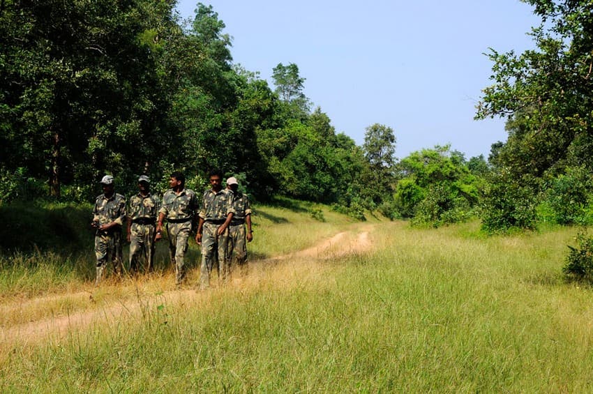 Forest guards perform the invaluable service of protecting the life-giving ecosystems such as forests, the wildlife, and a host of other natural resources that lie within.