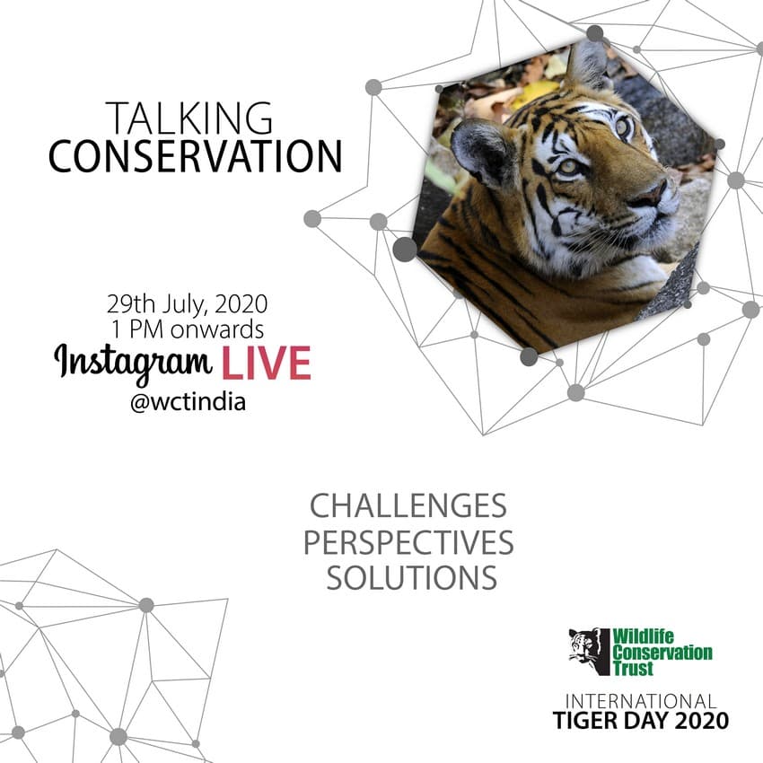 International Tiger Day 2020