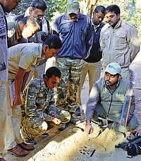 12,000 Forest Officers Trained in Wildlife Law Enforcement