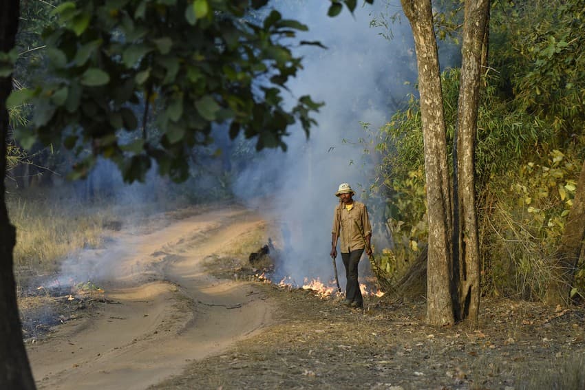 To keep fires in check, forest staff create fine lines, also known as fire breaks, by clearing inflammable material like leaf litter, during the drier months.