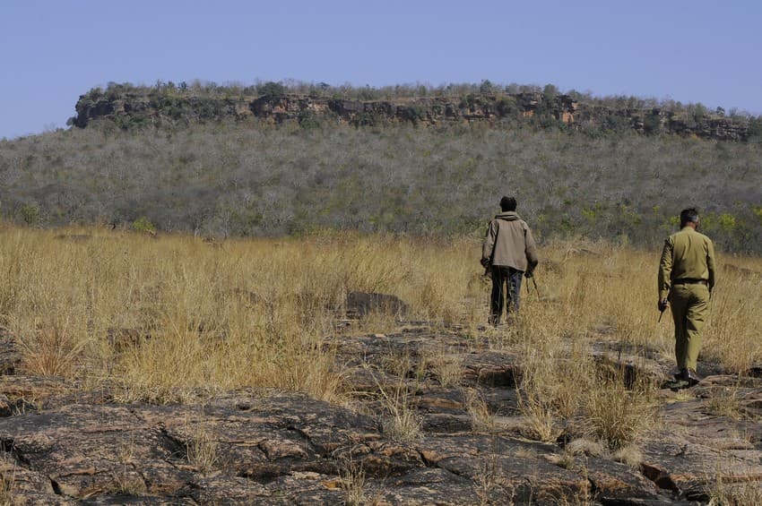 From the day Project Tiger was launched, one primary strategy was to ‘place the right man at the right place at the right time’. One such individual was R. Sreenivasa Murthy, seen patrolling here with a forest guard. He helped resurrect Panna after all its tigers had been killed by poachers.