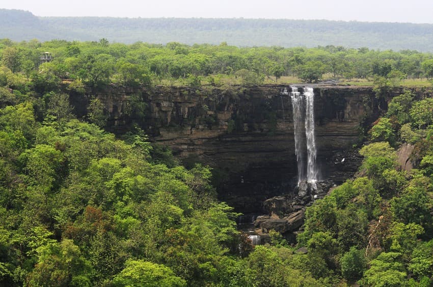 There is an umbilical connection between forests and water. By some estimates as many as 600 rivers originate from or are fed by large inviolate forests. More than mere breeding grounds for tigers forests serve as catchments for rivers and aquifers without which neither agriculture nor industry can possibly survive.