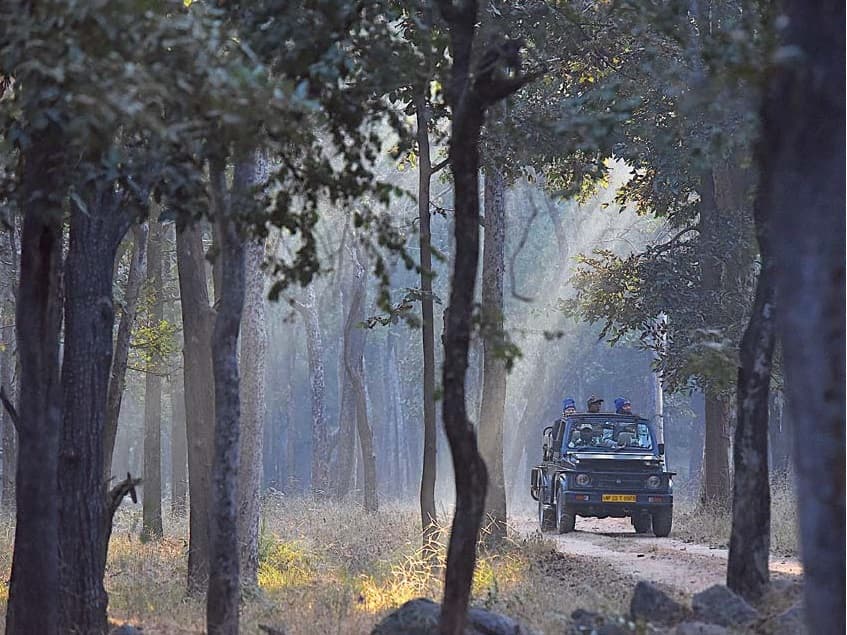 One practical way to counter the adverse effects of climate change would be to usher in policies that encourage the rewilding of failed and marginal farms to forest status, without alienating communities from their own lands. Here low-impact eco-tourism outfits can supplement rural incomes and in the process offer wildlife more space, stabilise the subcontinent’s climate, recharge aquifers and reduce human-animal conflicts.