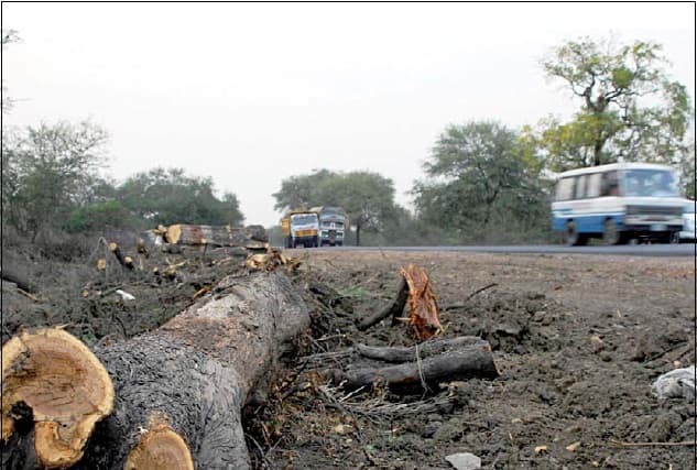 Fragmentation by linear infrastructure projects is one of the most serious threats to the integrity of terrestrial ecosystems.