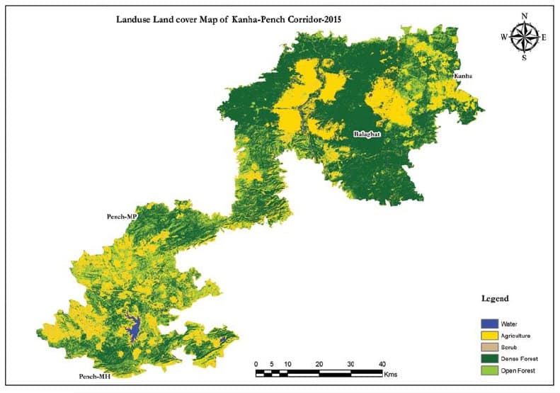 The comparative Land Use Land Cover (LULC) maps of the Kanha-Pench corridor highlights the danger faced by Madhya Pradesh’s Territorial Forests. Between 1990 and 2015, vital corridors have either been converted into marginal farms or so degraded as to impede connectivity between these two tiger reserves.