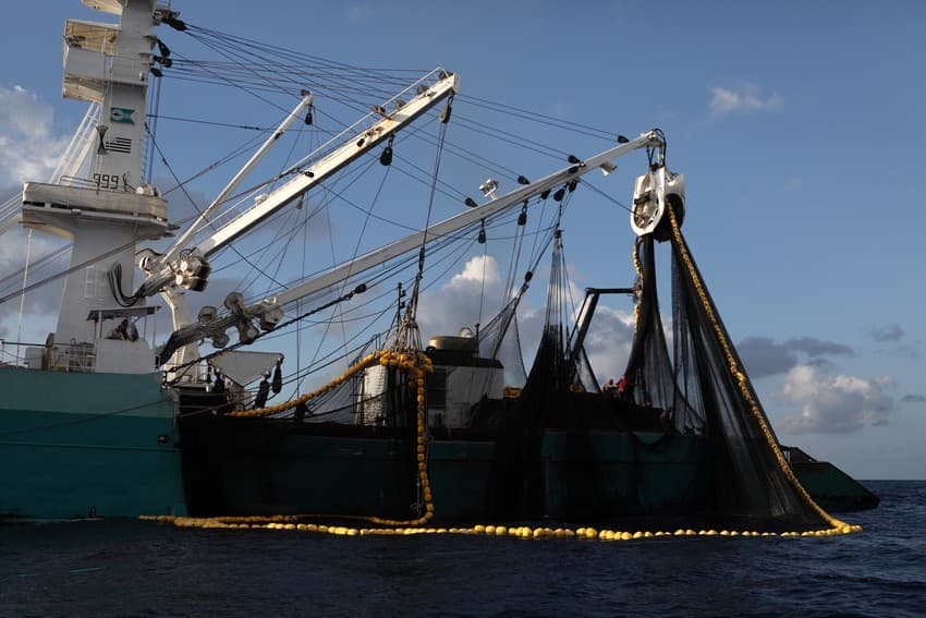 Purse seiner fishing in the Indian Ocean. Humans moved from artisanal fishing to motorised to mechanised trawling, practically setting up industries on huge ships.