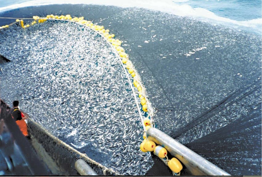 Harmful fishing practices such as bottom trawling and purse seine fishing prove devastating for the fish populations as well as the marine ecosystems. Overfishing has caused world’s fish stocks to plummet.