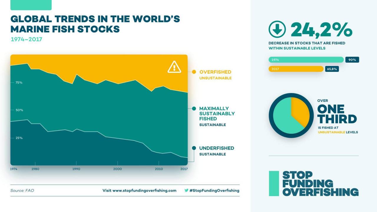 25 Reasons Why the WTO Must End Subsidies That Drive Overfishing