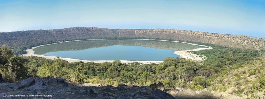 The Lonar Lake is essentially a soda lake i.e. it is simultaneously alkaline and saline. It harbours a unique ecosystem comprising a mix of rare microbial life.