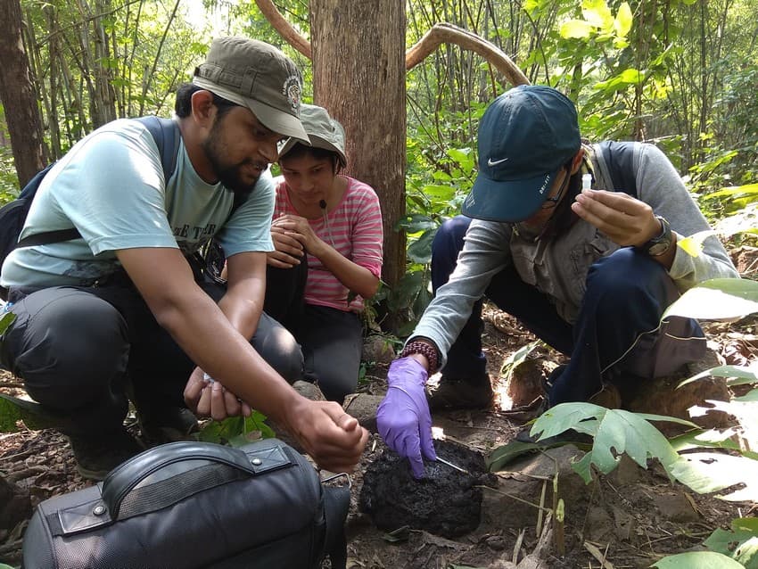 Investigating the Effects of Road Network on Genetic Connectivity and Population Structure of Gaur (Bos gaurus) in Central Indian Landscape 