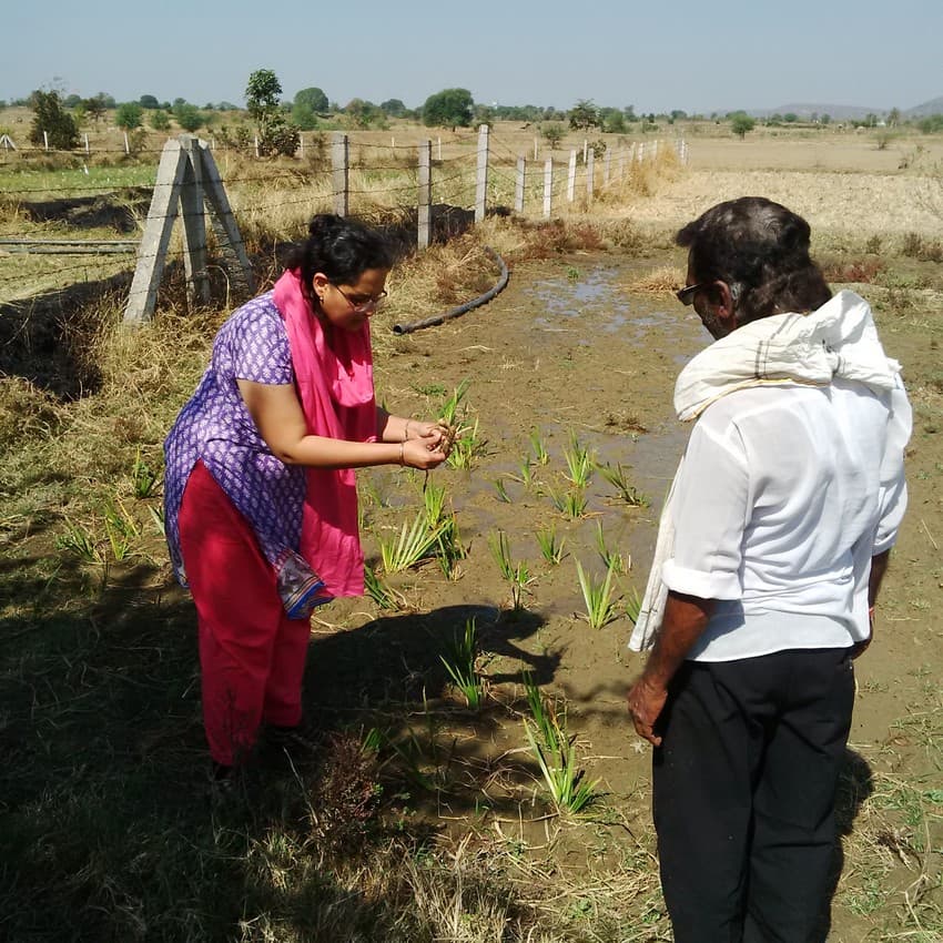 Development of Manual for Non-palatable alternative medicinal crops - as a solution for long term conflict management for fringes of protected areas.