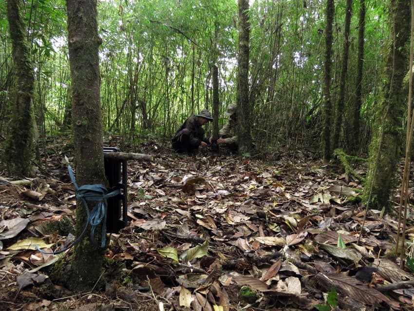 Facilitating wild felid conservation through community participation in eastern Nagaland, India