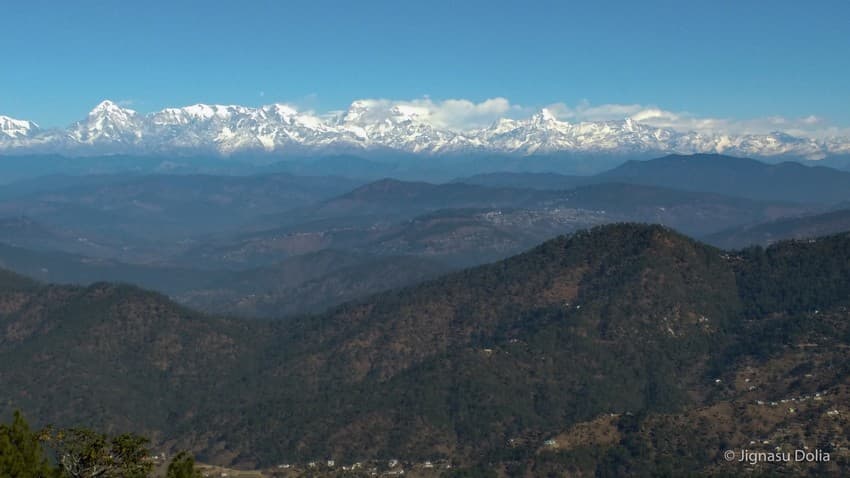  The Himalayan foothills make up a part of the king cobra’s distribution range in India.