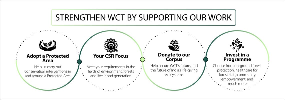 Donors - Your support helps us strengthen the on-ground protection of forests, conduct cutting-edge research that drives policies for landscape-scale conservation, empower forest guards and communities, and much more.