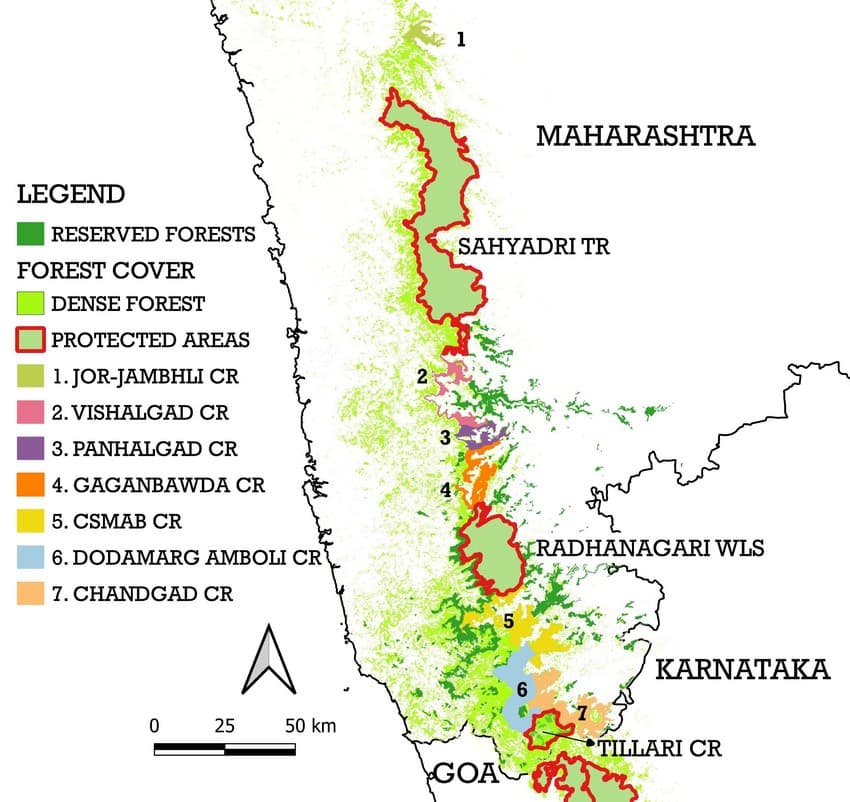 The newly proposed Conservation Reserves will protect almost 870 sq.km. of corridor habitat in the Sahyadri-Konkan landscape, making it one of the few landscapes where the corridor is almost completely a network of PAs.