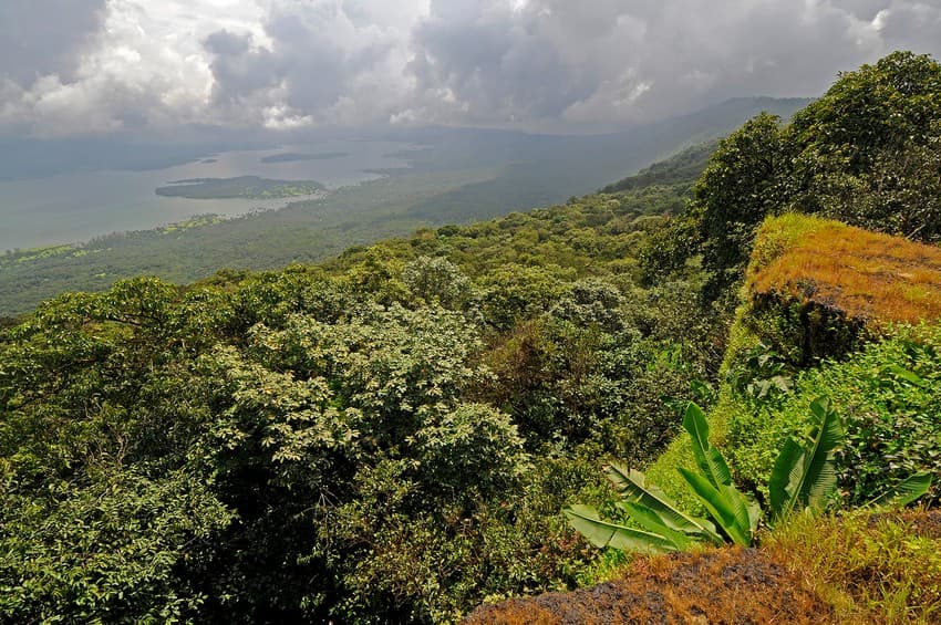 A view of the Radhanagari landscape with the backwaters of the Kalammawadi dam on the Dudhganga river. Radhanagari is a potential site for tiger recovery in the Sahyadri-Konkan landscape.