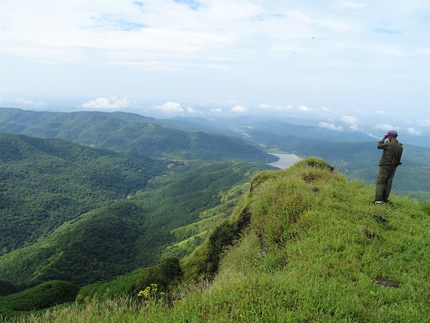 A forest watcher examines the Konkan landscape in the Chandoli National Park of the Sahyadri Tiger Reserve.