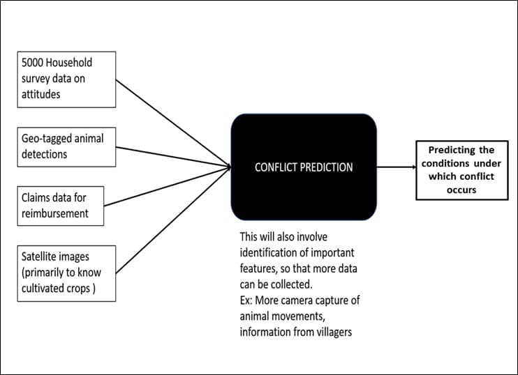 In 2020, WCT embarked on a unique project with Google Research India under its AI for Social Good Programme. This project takes a novel approach by exploring AI-based solutions and has designed AI models to predict human-wildlife conflict with promising results. Testing and scrutiny of these models are in progress. 