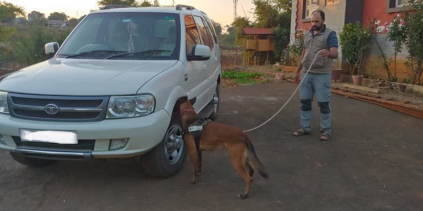 Regular practice of vehicle search keeps the dogs ready to detect wildlife contraband, arms and ammunition, and traps and tools used in hunting.