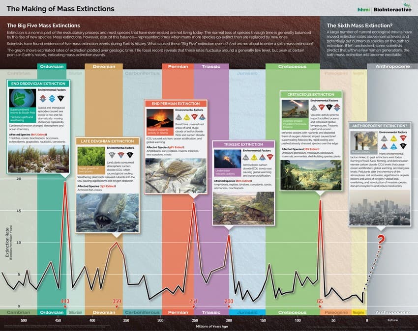 The Big Five Mass Extinctions: Extinction is a normal part of the evolutionary process and most species that have ever existed are not living today. The normal loss of species through time is generally balanced by the rise of new species. Mass extinctions, however, disrupt this balance–representing times when many more species go extinct than are replaced by new ones. Scientists have found evidence of five mass extinction events during Earth’s history.