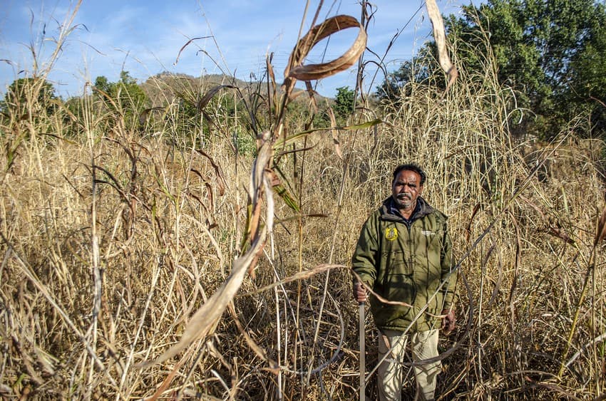 Keshav Jamunkar, a forest watcher, or van majoor, has lived and worked inside the Melghat Tiger Reserve in Maharashtra for the last three decades.