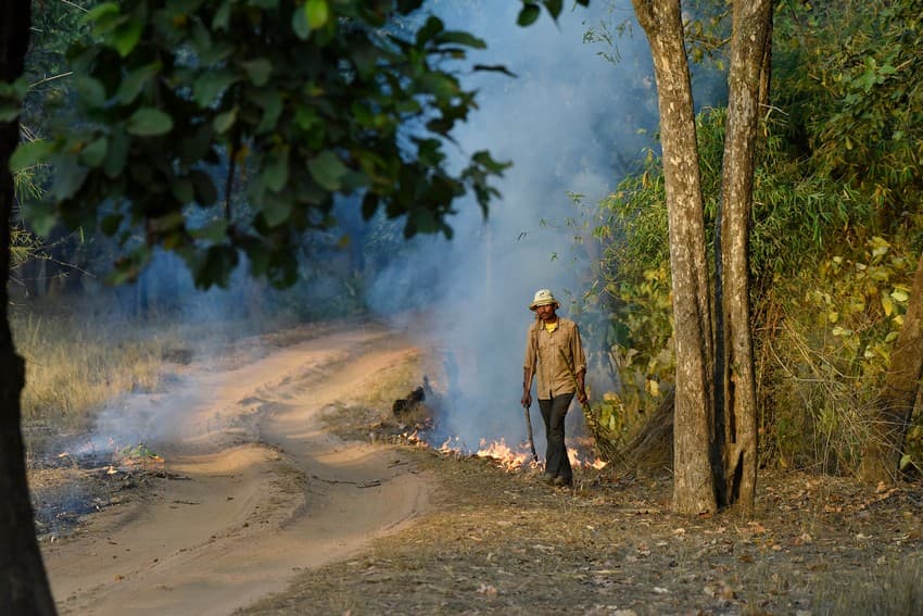 A fire watcher in the Bandhavgarh Tiger Reserve creates a fire break by burning combustible leaf litter. In addition to the watchers hired on daily wages for routine protection work, ‘fire watchers’ are hired specially for fire prevention and control during and ahead of the ‘fire season’.